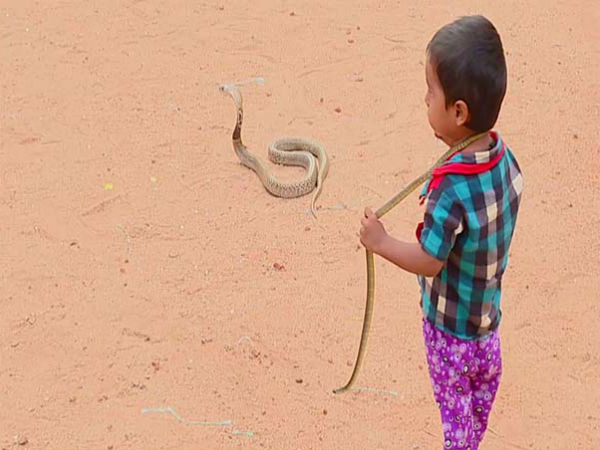 ಹಾವೆಂದರೆ ಶಾಕೀರ್ ಪಾಲಿಗೆ ಆಟದ ವಸ್ತು