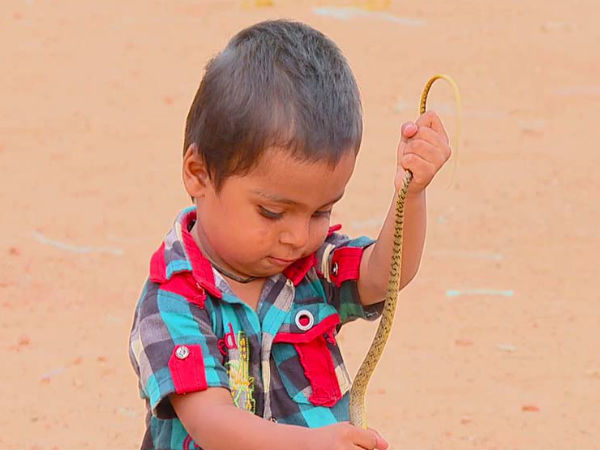 ಮನೆ ಮಗನಂತೆ ಆಗಿದ್ದಾನೆ