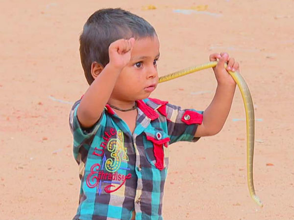 ವಿಷದ ಹಾವನ್ನು ಕೊಡುವುದಿಲ್ಲ