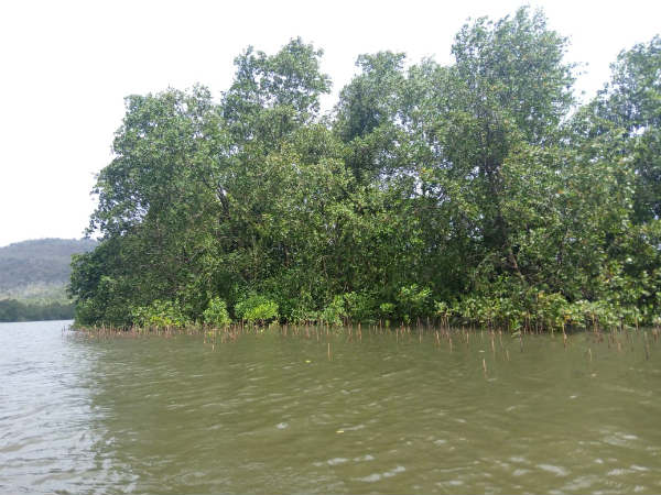 ಹಲವು ವರ್ಷಗಳ ಬೇಡಿಕೆ