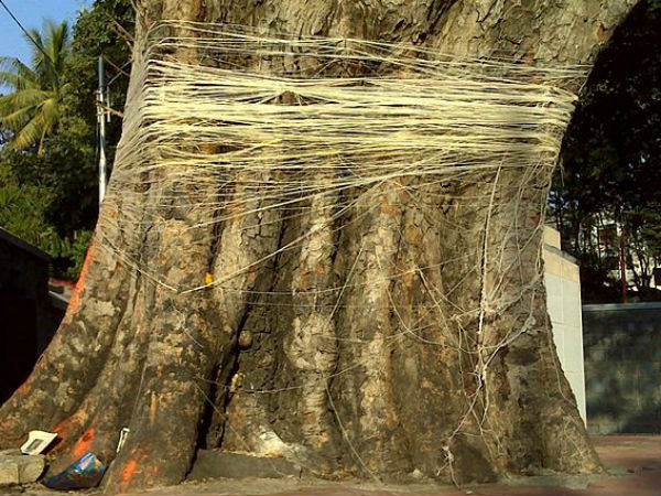 ವಟ ಸಾವಿತ್ರಿ ವ್ರತ ಹಿನ್ನೆಲೆ
