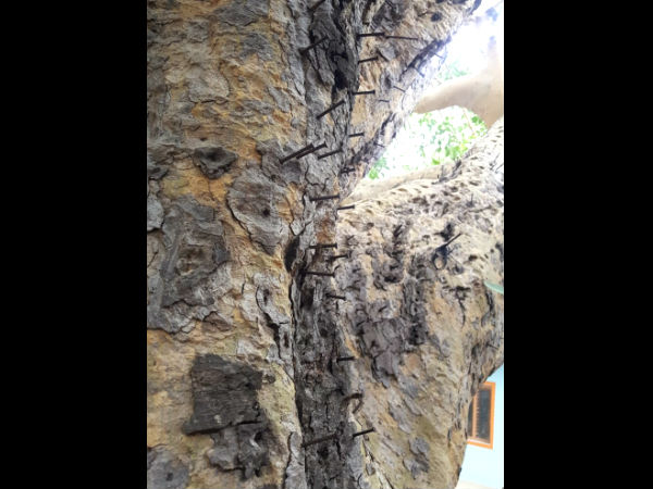 ಮಧ್ಯರಾತ್ರಿ ವೇಳೆ ಗಂಟೆ- ಜಾಗಟೆ ಸದ್ದು ಕೇಳುತ್ತದಂತೆ