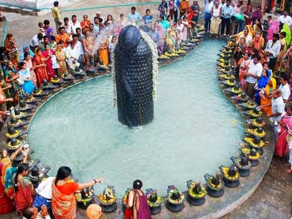 ಪಾರಿಜಾತದಿಂದ ಪೂಜಿಸಿದರೆ ಸುಖ- ಸಂಪತ್ತು ವೃದ್ಧಿ