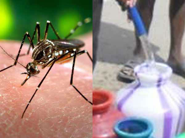 ಆರೋಗ್ಯ ಇಲಾಖೆಯಿಂದ ಡೆಂಗ್ಯೂ ಮಾಸಾಚರಣೆ