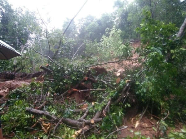 ಸ್ಥಳೀಯರಿಂದ ಆಹಾರ ಪೂರೈಕೆ