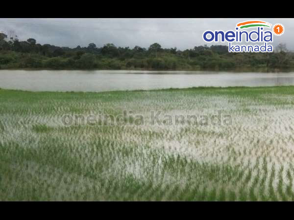 ರೈತರಲ್ಲಿ ಮೂಡಿದ ಹರ್ಷ