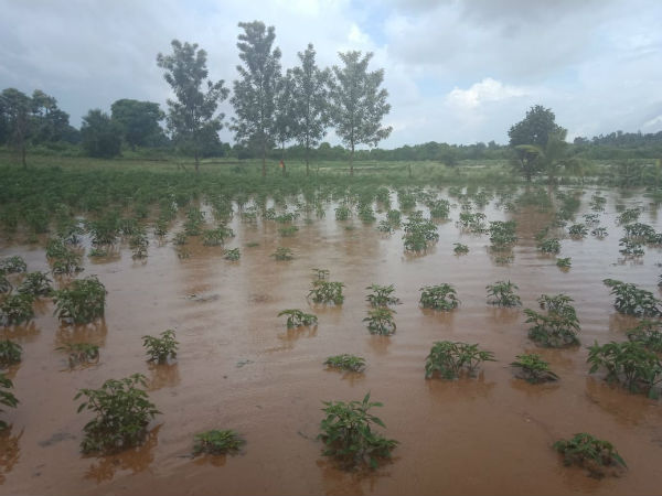 ಹುಣಸೂರಿನಲ್ಲೂ ಜೋರು ಮಳೆಯ ಆರ್ಭಟ