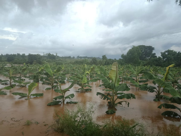 ಹಿಡಿ ಶಾಪ ಹಾಕಿದ ರೈತರು