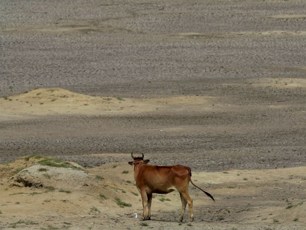 ಶುದ್ಧ ನೀರಿಲ್ಲದೆ 2 ಲಕ್ಷ ಸಾವು
