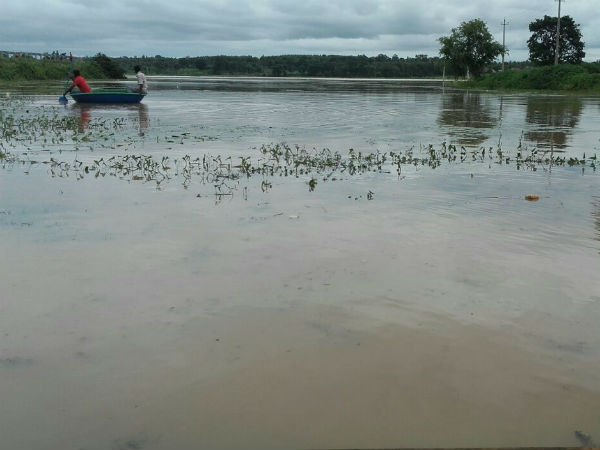 ನಂಜನಗೂಡಲ್ಲೂ ಮಳೆ ಜೋರು