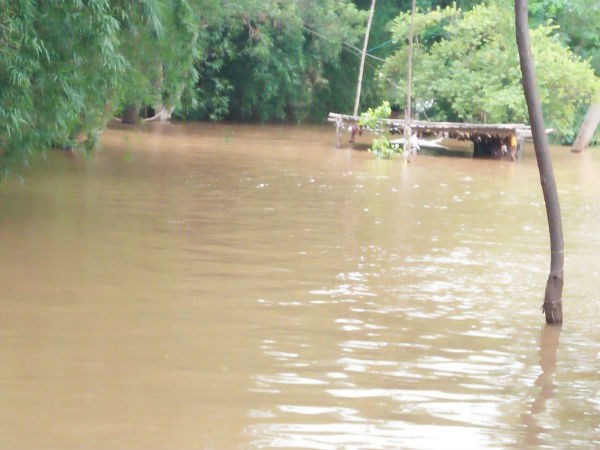 ಶಾಲೆ ತೊರೆದ ವಿದ್ಯಾರ್ಥಿಗಳು