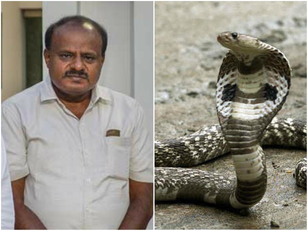 ಹುಡುಕಿಕೊಂಡು ಬಂದಿತ್ತು ಯೋಗಾಯೋಗ
