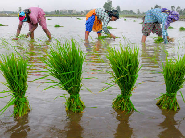 ಕುಮಾರಸ್ವಾಮಿ ಕೊಟ್ಟಿದ್ದೇನು