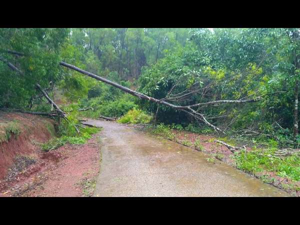 ಹೊರಗೆ ಮಳೆ, ಒಳಗೆ ಪತ್ರೊಡೆ, ಕಳಲೆ!
