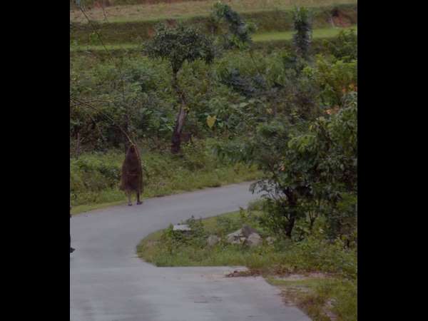 ಸಾರಗಳ ಮೇಲಿನ ಸರ್ಕಸ್