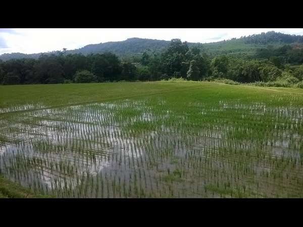 ಹಳ್ಳ ತುಂಬುವ ಸಂಭ್ರಮ
