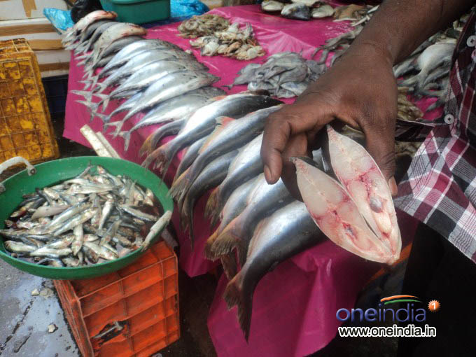 ಫರ್ಮಾಲಿನ್ ಶರೀರ ಪ್ರವೇಶಿಸಿದರೆ ಅಪಾಯ