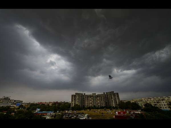 ಆಗಸದಲ್ಲಿ ಮೋಡಗಳೊಂದಿಗೆ ಹಕ್ಕಿಯ ಒಡನಾಟ