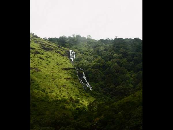 ಕುರುಂಜಿ ಗಿಡದಿಂದ ಬಂದ ಹೆಸರು