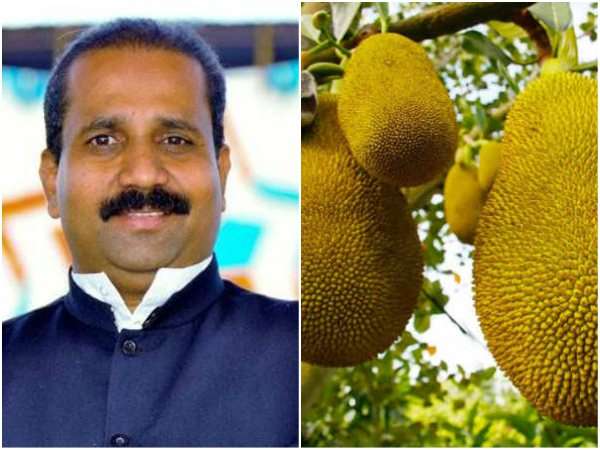 ಹಲಸಿನ ಹಣ್ಣು ತಿಂದರೆ ಏಡ್ಸ್ ಬರುವುದಿಲ್ಲ