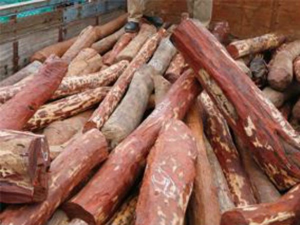 ಕಳ್ಳರ ಕಾಟಕ್ಕೂ ಇದೆ ಪರಿಹಾರ