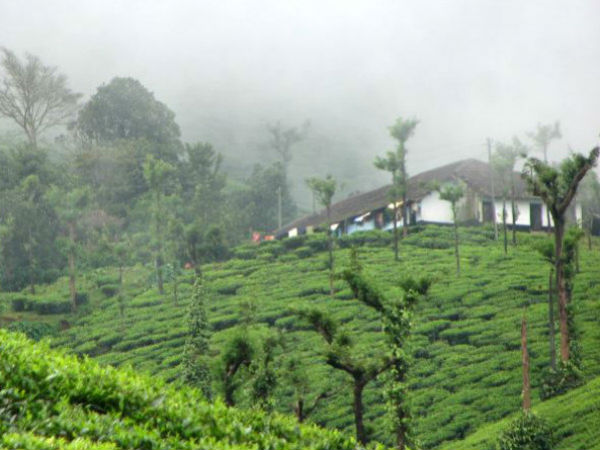 ಚಿಕ್ಕಮಗಳೂರು ಪ್ರೀತಿಯ ಜಿಲ್ಲೆ