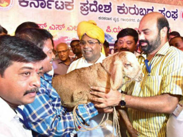 ಇಬ್ಬರೂ ಕುರುಬ ಸಮುದಾಯದವರು