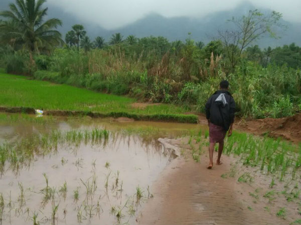 ಮಳೆ ಆಧಾರಿತ ಪ್ರದೇಶಗಳು ಎಷ್ಟಿದೆ