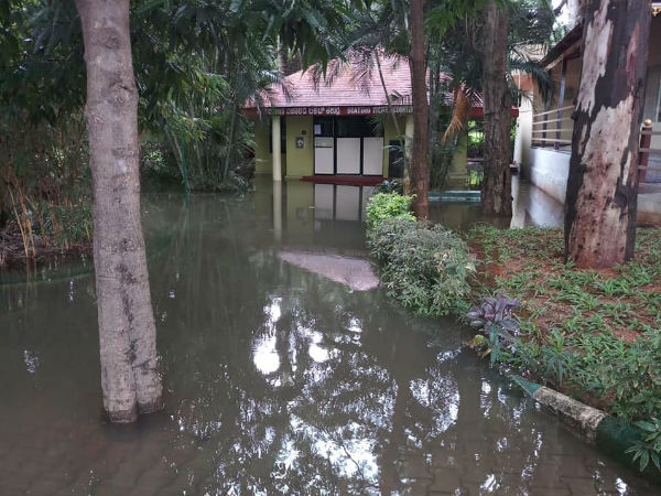 ಪಕ್ಷಿಧಾಮ ಪ್ರವೇಶ ನಿಷೇಧ