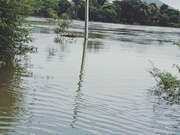 ಸೆಲ್ಫಿ ತೆಗೆಯಲು ಮುಗಿಬಿದ್ದ ಜನ