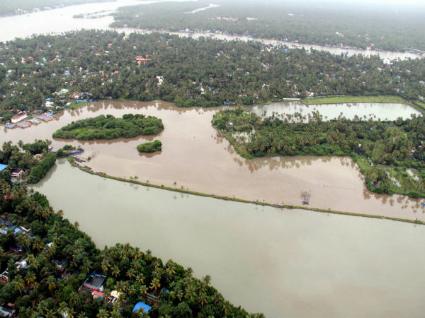 ಅರಣ್ಯ ನಾಶ ಮುಂದುವರೆದಿದೆ