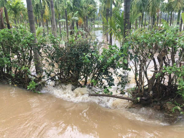 ಯೋಗಾಭ್ಯಾಸ ನಡೆಸಲು ಯೋಗ ಶಿಕ್ಷಕರ ಬಳಕೆ