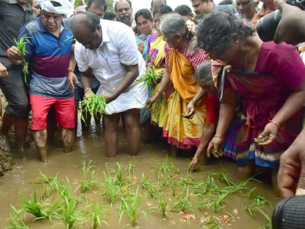 ರೈತರೊಂದಿಗೆ ನಾಟಿ