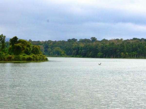 ಆ ಘಟನೆ ಕಲ್ಲು ಹೃದಯವನ್ನೂ ಕರಗಿಸುತ್ತದೆ