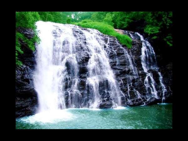 ಕಾಫಿ ತೋಟದ ಮೇಲಿನ ಆಸಕ್ತಿ ಹೆಚ್ಚಾಯಿತು !