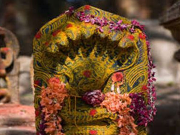 ನಾಗಗಳ ಆರೈಕೆ ಆಚರಣೆಯಾಯಿತು