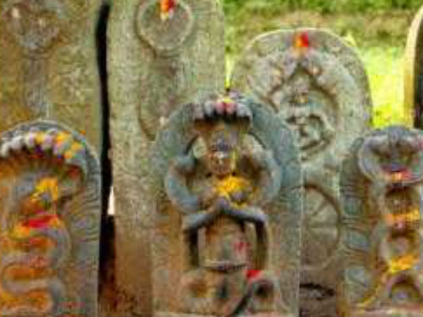 ನಾಗಬನವಾಗುತ್ತಿದೆ ಕಾಂಕ್ರಿಟ್ ಗೂಡು