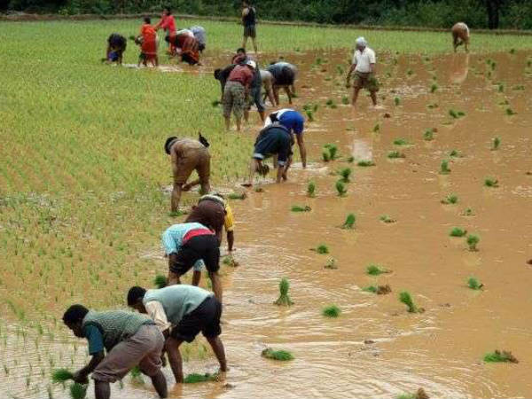 ಮಳೆಗಾಲ ಕಳೆಯುವುದೆಂದರೆ ಯುದ್ಧ ಜಯಿಸಿದಂತೆ!