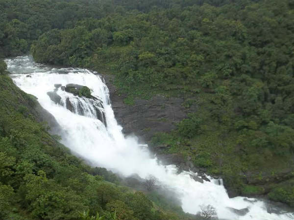 ಏನಿದು ಕಸ್ತೂರಿ ರಂಗನ್ ವರದಿ?