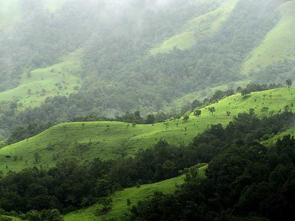 ಕಸ್ತೂರಿ ರಂಗನ್ ವರದಿ ಮುಖ್ಯಾಂಶಗಳು