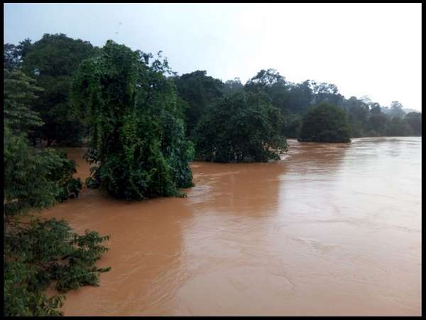 ನೈಸರ್ಗಿಕ ವ್ಯವಸ್ಥೆಯಲ್ಲಿ ಮಾನವನ ಹಸ್ತಕ್ಷೇತ
