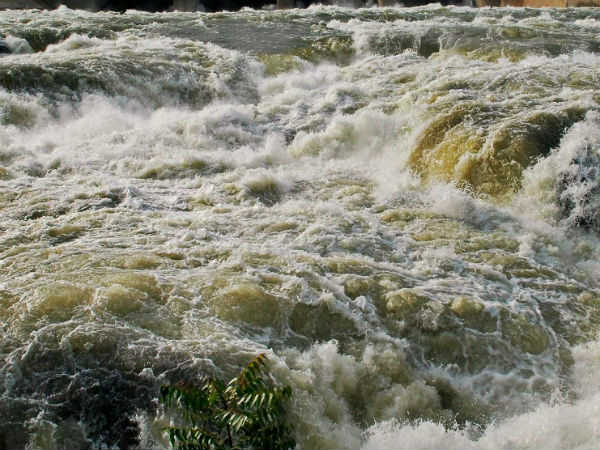 ವೃಷಭಾವತಿ ನದಿಯಲ್ಲಿ ಹಸಿರು, ಕಪ್ಪು ಬಣ್ಣದ ನೀರು