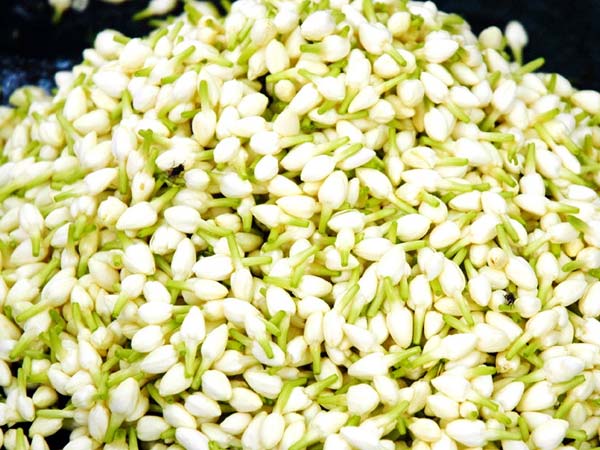 ಲಕ್ಷ್ಮಿಗೆ ಪ್ರಿಯವಾದ ಮಲ್ಲಿಗೆ ಬೆಲೆ ಕೆಜಿಗೆ 1500