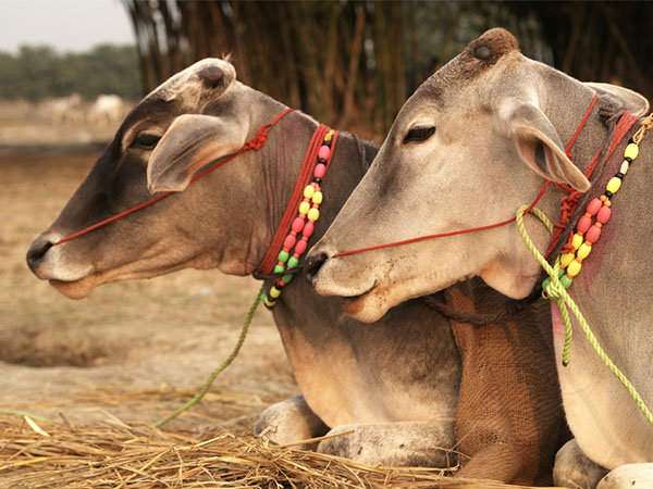 ಕೇರಳದಲ್ಲಿ ಪಾಕೃತಿಕ ವಿಕೋಪ