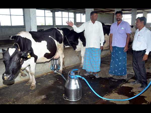ಗೋ ಮೂತ್ರ ಸಂಗ್ರಹಣೆ