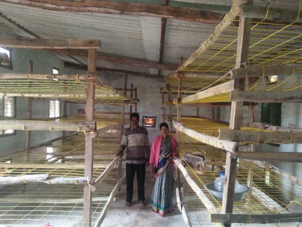 ರೇಷ್ಮೆಯತ್ತ ಒಲವು