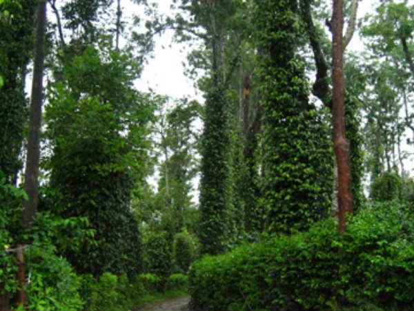 ರಾಷ್ಟ್ರೀಯ ಹೆದ್ದಾರಿಗಳ ನವೀಕರಣ