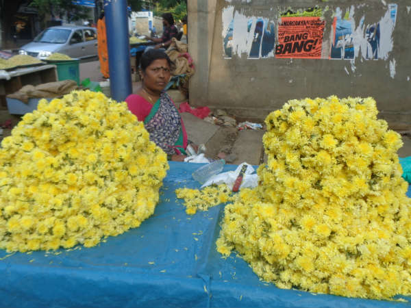 ಸೇವಂತಿಗೆ ಹೂವಿನ ಆಕರ್ಷಣೆ