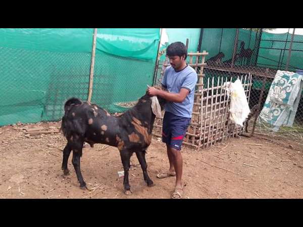 ಒಂದು ಮೊಟ್ಟೆಗೆ 6 ರೂ.ನಂತೆ ಮಾರಾಟ