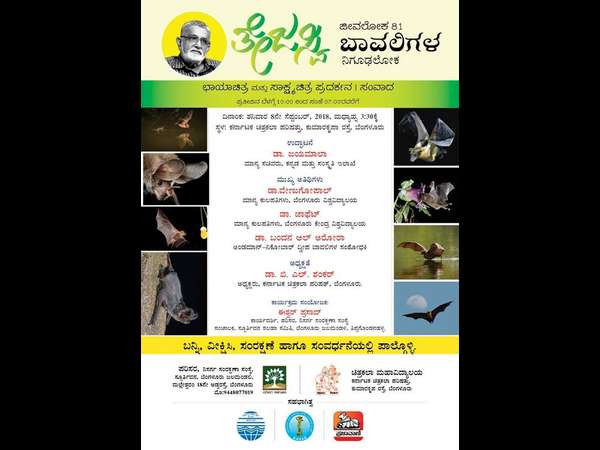 ತೇಜಸ್ವಿ ಜೀವಲೋಕ 81: ಬಾವಲಿಗಳ ಲೋಕ